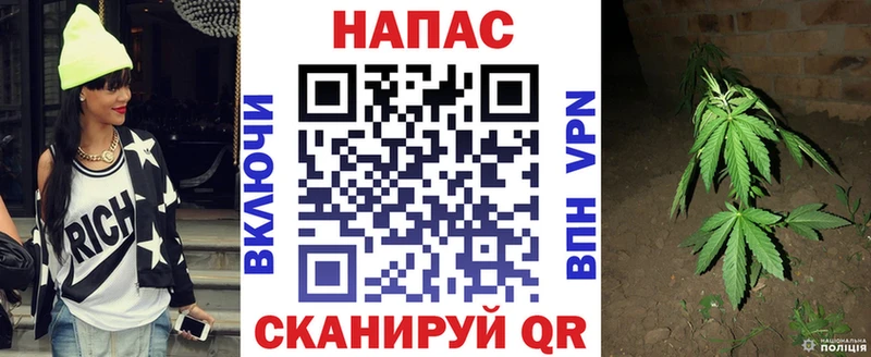 Бошки марихуана ГИДРОПОН  Купить  Ступино 